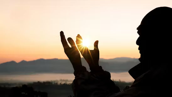The Oracle | VIP Membership